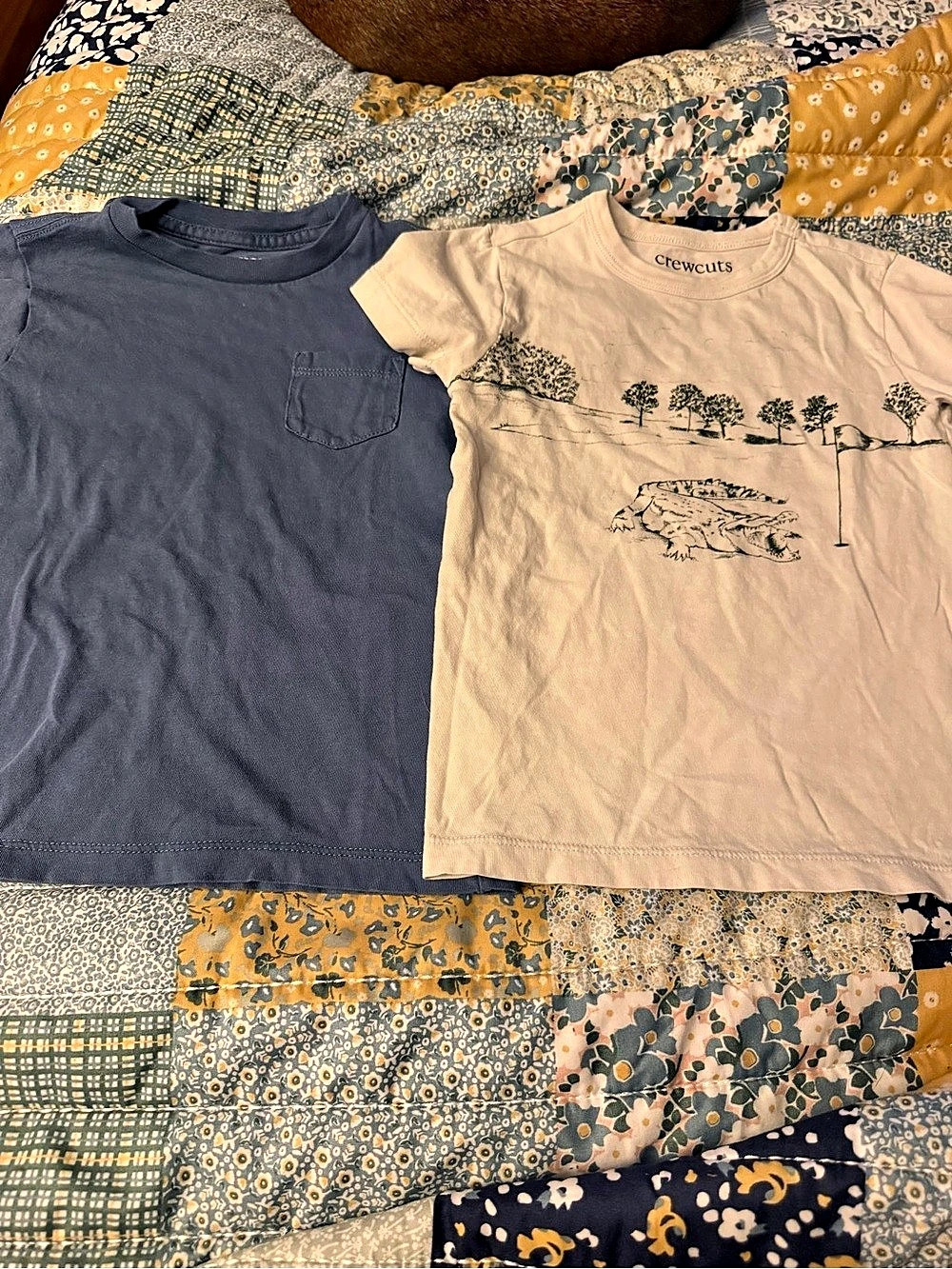 Crewcuts Boys XXS Graphic T-Shirt 2-Pack Blue & Cream
